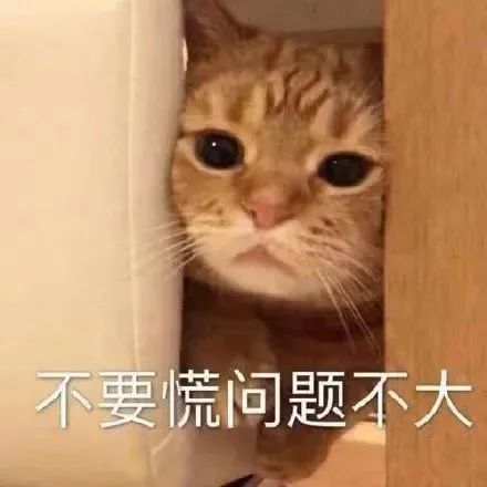 微信图片_20240730170245.jpg