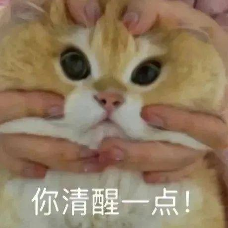 微信图片_20240805155315.png