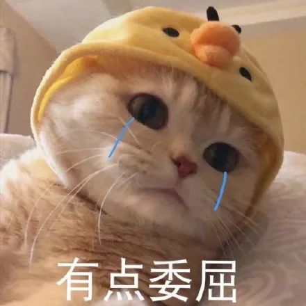 微信图片_20240904161540.jpg