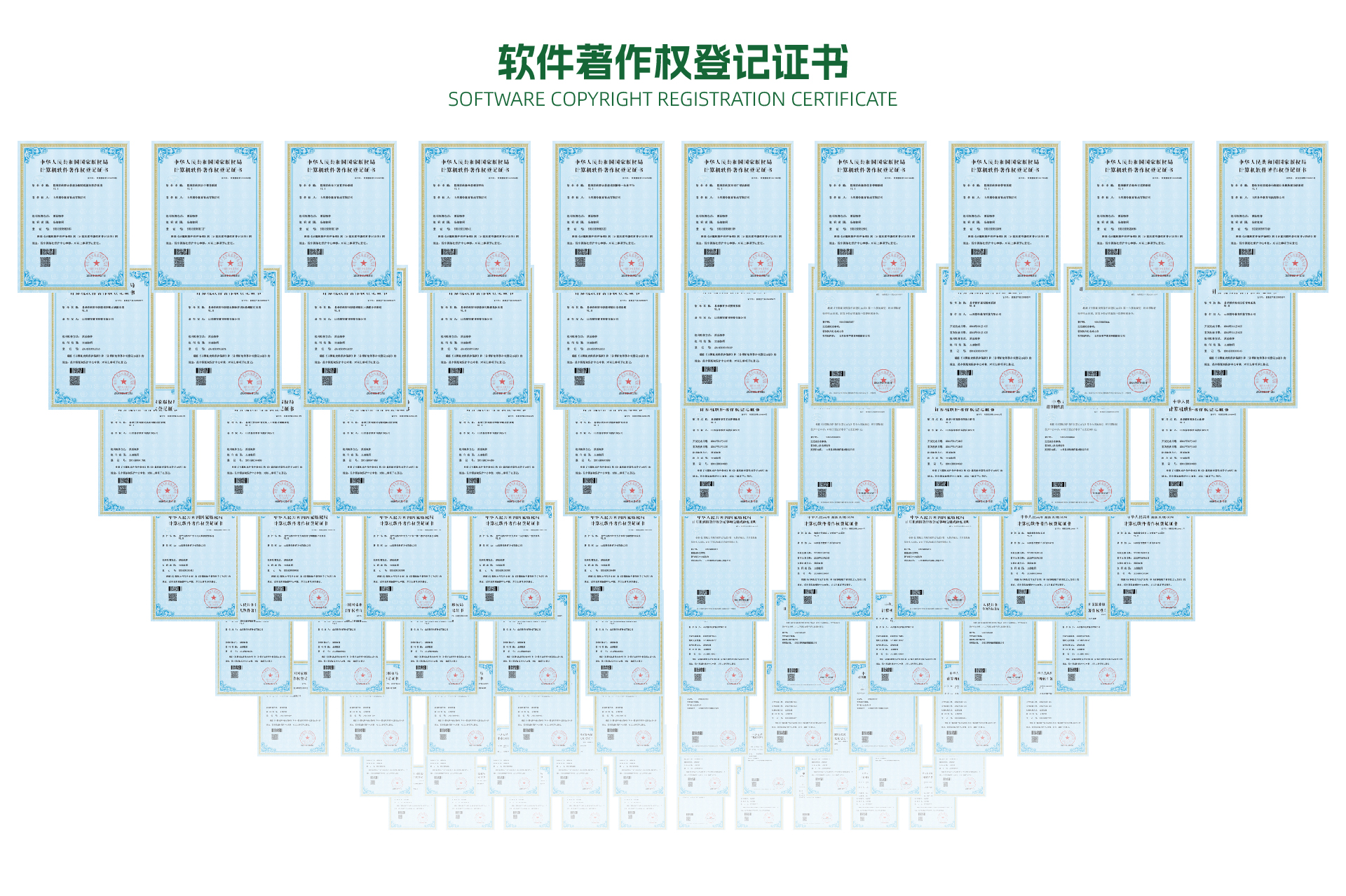 官网证件_画板 1 副本(1).jpg
